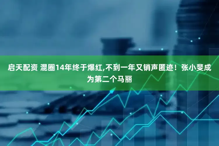启天配资 混圈14年终于爆红,不到一年又销声匿迹！张小斐成为第二个马丽