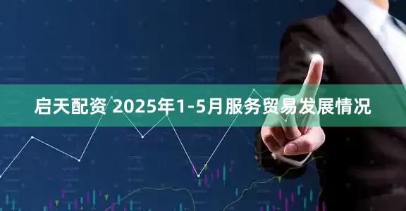 启天配资 2025年1-5月服务贸易发展情况
